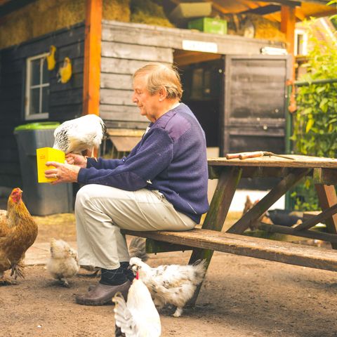 Campingpark de Vuurkuil - Camping Apeldoorn - Image N°3