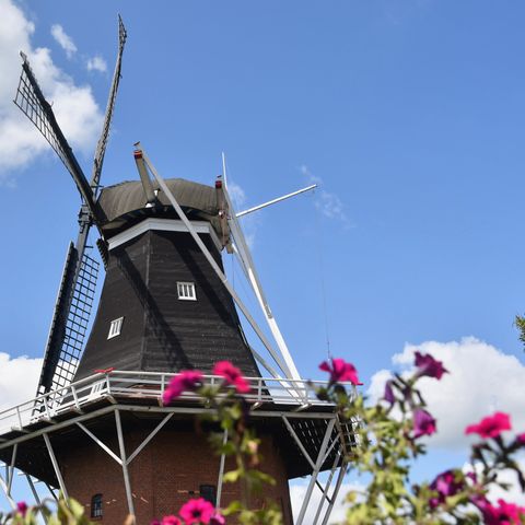 Recreatiepark Westerkwartier - Camping Westerkwartier - Image N°5