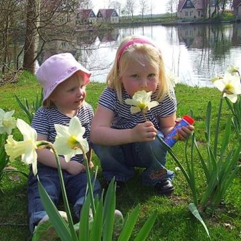 Vakantiepark het Timmerholt  - Camping Mitte-Drenthe - Image N°3