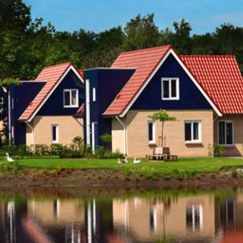 Vakantiepark het Timmerholt  - Camping Mitte-Drenthe - Image N°5