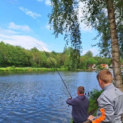 Vakantiepark het Timmerholt  - Mitte-Drenthe - Image N°4