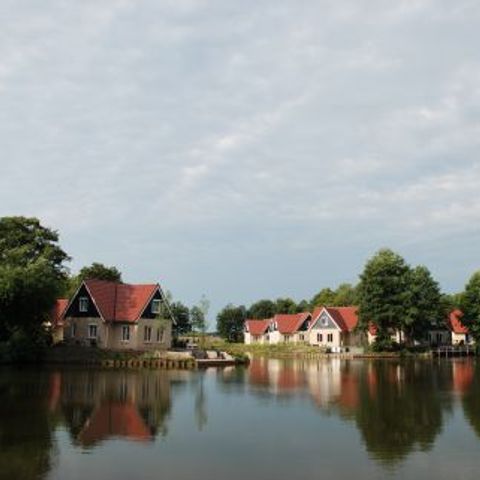 Vakantiepark het Timmerholt  - Camping Mitte-Drenthe - Image N°6