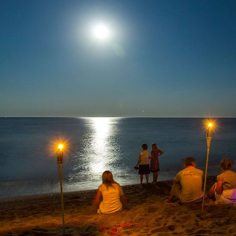 Camping El Pinar  - Girona - Image N°3