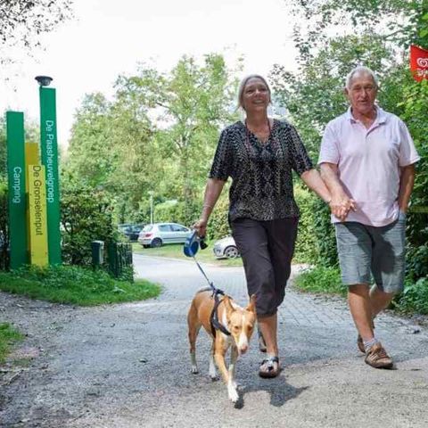 Camping de Gronselenput - Camping Gulpen-Wittem - Image N°4