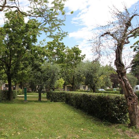 Stellplatz - Stellplatz A + Fahrzeug + Strom 6A + Wasserabfluss 60 m²