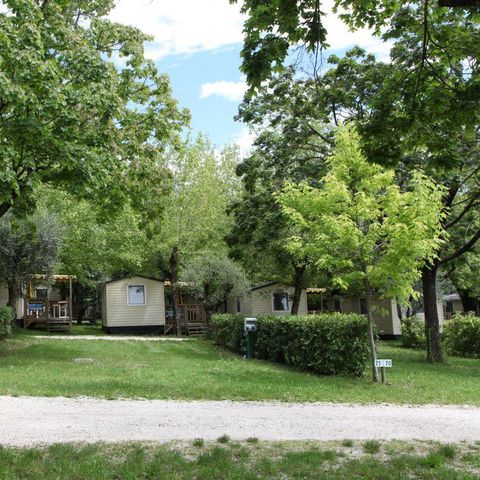 Stellplatz - Stellplatz XL (Fahrzeug + Strom 10A + Wasserabfluss) 110/120 m²