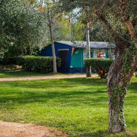 Stellplatz - Pitch XL Pool (Wohnmobil/Wohnwagen + Strom 10A + Wasserstelle), 110/120 m2