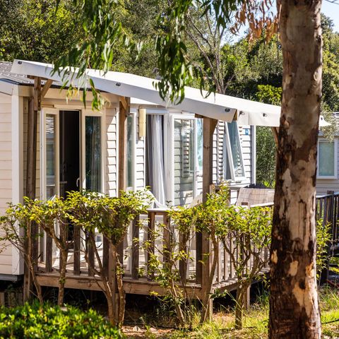 Bungalow 6 Personen - Mobilheim | Comfort | 2 Zi. | 4/6 Pers. | Erhöhte Terrasse | Klim.