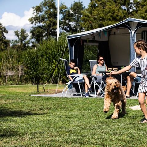 Stellplatz - Komfortplatz Hund erlaubt