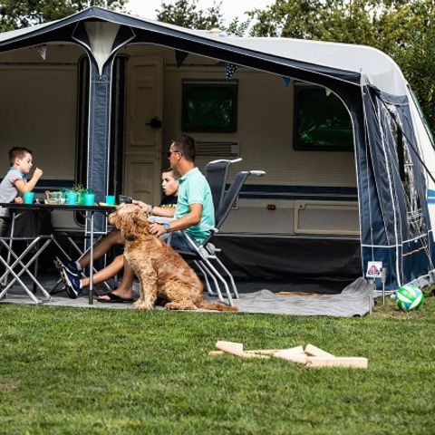 Stellplatz - Komfortplatz L Hunde erlaubt