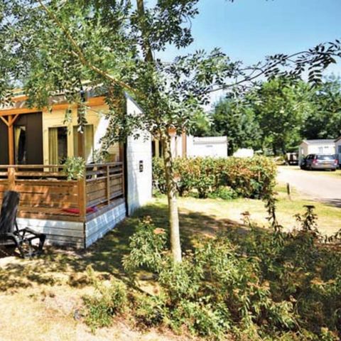 Mobilheim 8 personen - Premium | 3 Zi. | 6/8 Pers. | Erhöhte Terrasse