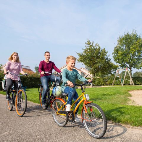 Landal De Soeten Haert - Renesse - Image N°3