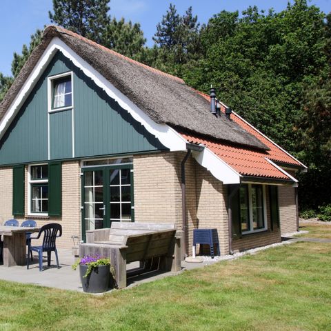 Bungalow 6 Personen - T6B Komfort