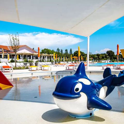 Camping Grand Kazela - Istrien - Image N°6