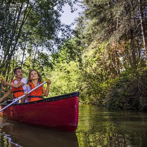 Center Parcs Les Hauts de Bruyères - Camping Loir-et-Cher - Image N°3
