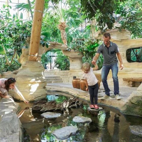 Center Parcs Les Trois Forêts - Camping Moselle - Image N°5