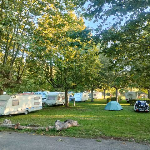 Camping La Clé de Saone - Saône-et-Loire - Image N°5