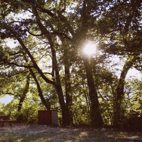 Camping les Chamberts - Camping Drôme - Image N°5