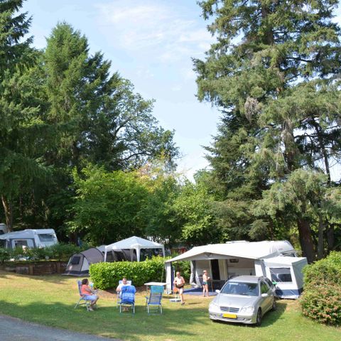 Stellplatz - Prestige-Stellplatz 100m² - 10A + Wasser und Abwasser