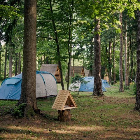 Zelt 3 Personen - Zelt mit Matratze und Bett