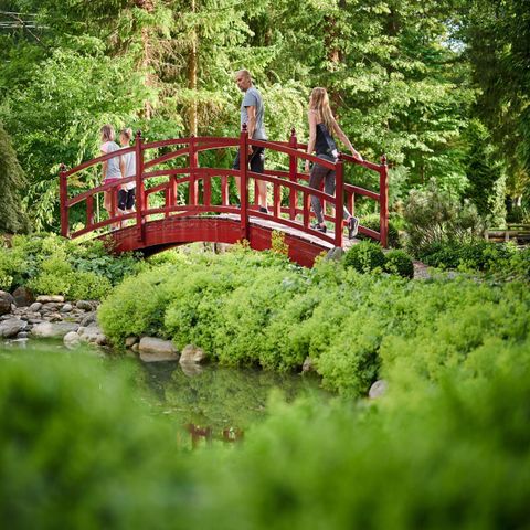 Forest Camping Mozirje - Slowenien - Image N°2