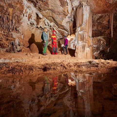 Forest Camping Mozirje - Slowenien - Image N°5