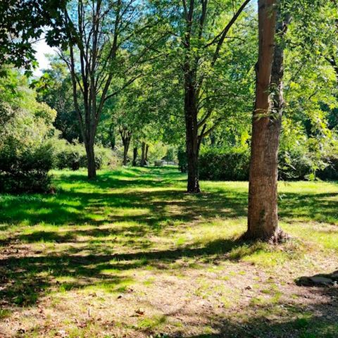 Camping Vert Lavande - Aveyron - Image N°6