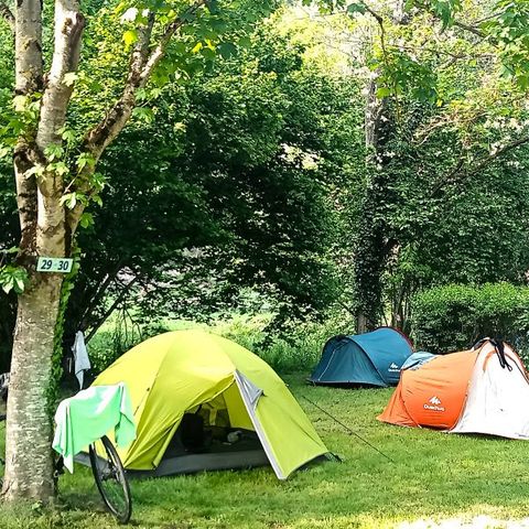 Stellplatz - Nackter Stellplatz für Zelt + 1 Fahrzeug