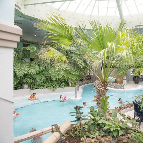 Center Parcs Port Zélande - Goeree-Overflakkee - Image N°5