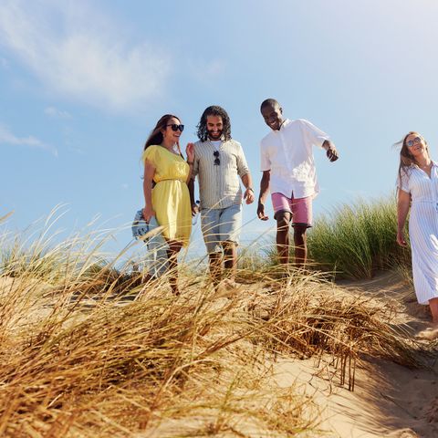 Center Parcs Port Zélande - Goeree-Overflakkee - Image N°3