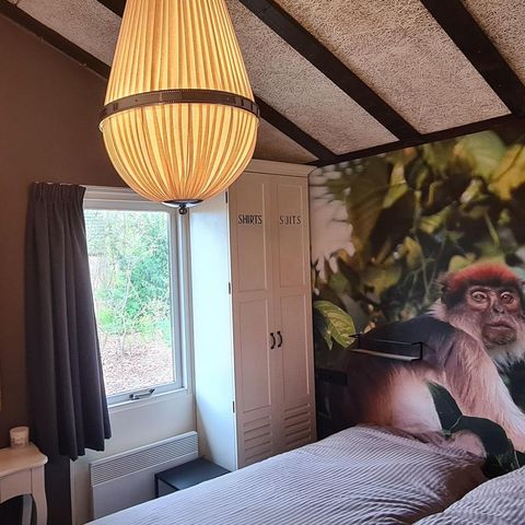 Bungalow 4 Personen - Die Woodland-Taube