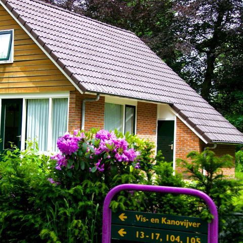 Bungalow 6 Personen - Großer Brachvogel