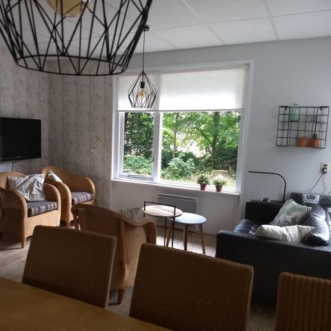 Bungalow 6 Personen - Großer Brachvogel