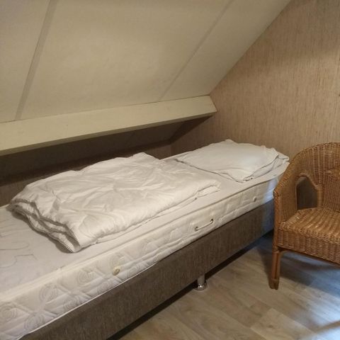 Bungalow 6 Personen - Großer Brachvogel