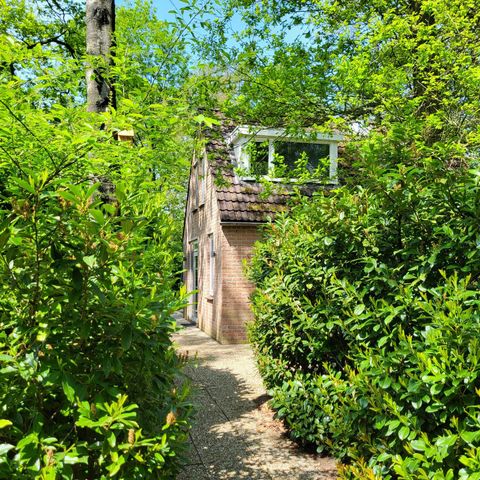 Bungalow 6 Personen - Turteltaube