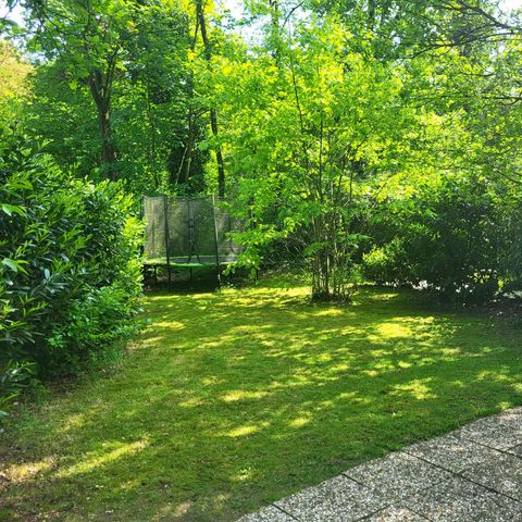 Bungalow 6 Personen - Turteltaube