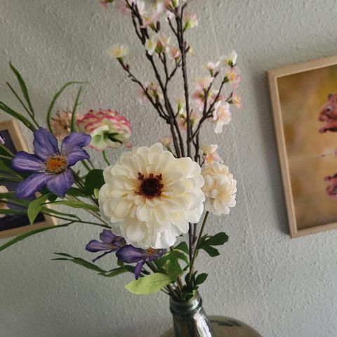 Bungalow 6 Personen - Turteltaube