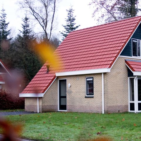 Bungalow 6 Personen - Bachstelze