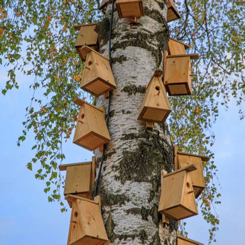 Chalet 2 Personen - Boutique-Suite