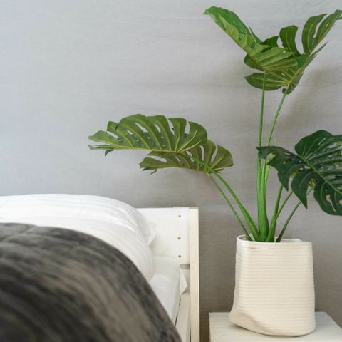 LODGE 5 Personen - Panorama mit privaten Sanitäranlagen