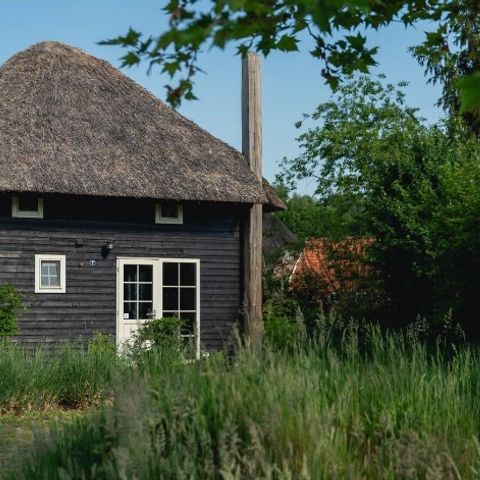 Bungalow 5 Personen - Reggehooiberg mit Sauna und Whirlpool