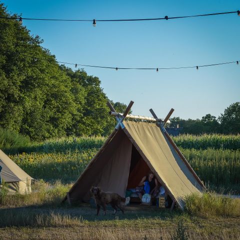 FERIENHAUS 32 Personen - 6x Luxus-Glampingzelt