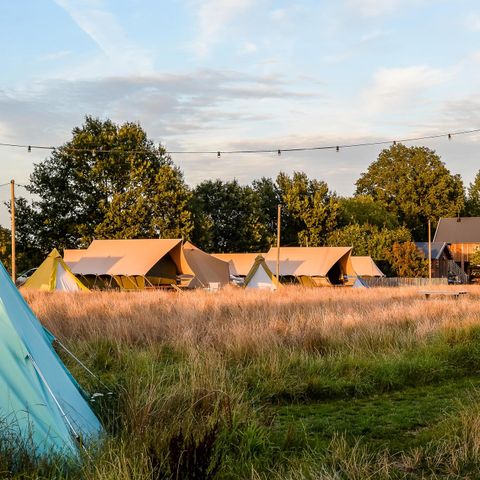 FERIENHAUS 32 Personen - 6x Luxus-Glampingzelt