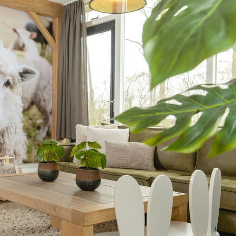 Bungalow 6 Personen - Kinderbungalow Bauernhaus mit Sauna und Whirlpool