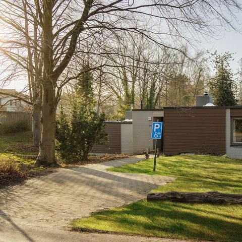 Bungalow 4 Personen - Rollstuhlgerecht Premium EH1529