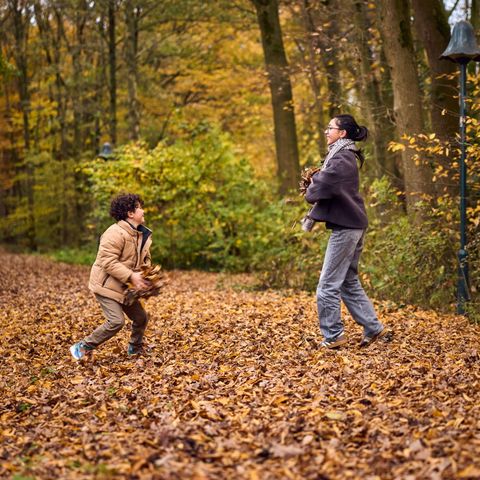 Center Parcs De Huttenheugte - Coevorden - Image N°4