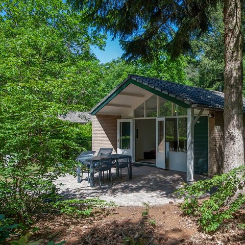 Landal Bospark De Schaapskooi - Epe - Image N°2