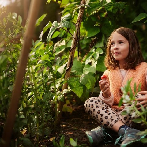 Center Parcs Het Meerdal - Horst an der Maas - Image N°6