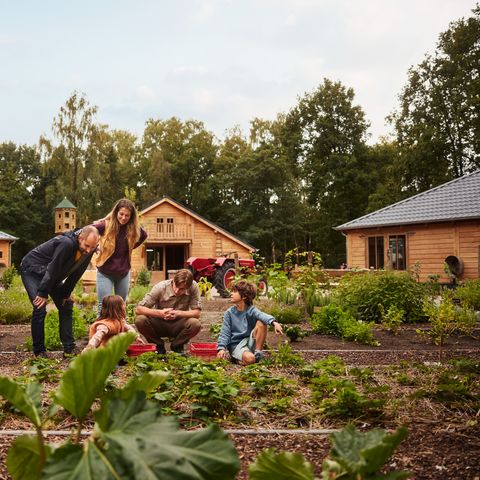 Center Parcs Het Meerdal - Horst an der Maas - Image N°6