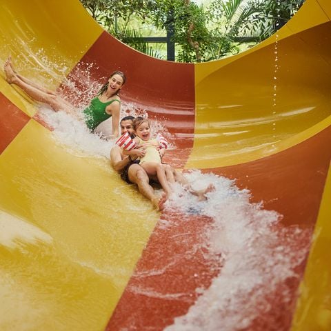 Center Parcs Het Meerdal - Horst an der Maas - Image N°3